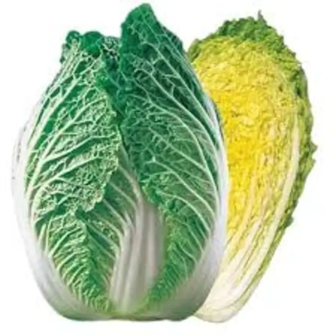 Fresh Cabbage Chinese P/Kg
